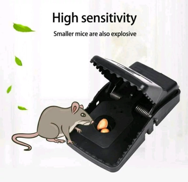 h8Byr98msqbjfHIh8SjxdbVHHnRQ4uRKykHllN7XSVQ.webp